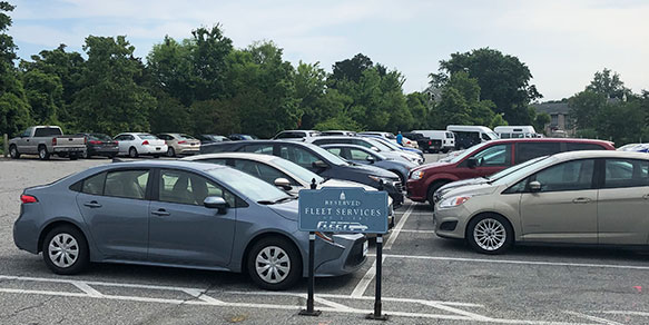 Multiple cars from Fleet Services